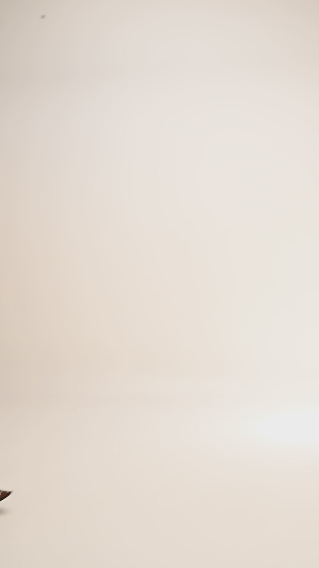 Craftsman Jean in Brown